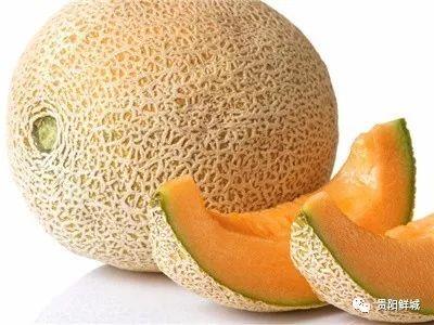 梦见吃哈密瓜,揭秘哈密瓜的奇幻之旅
